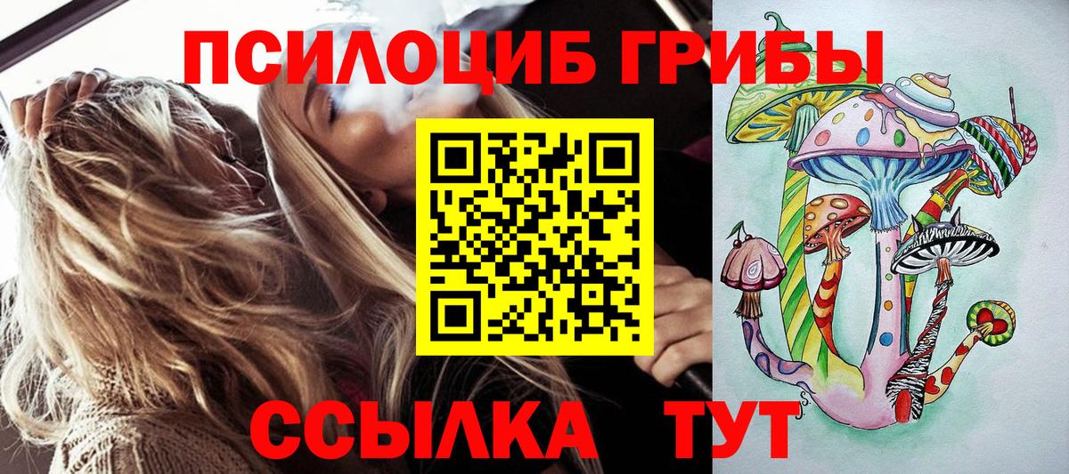 Псилоцибиновые грибы прущие грибы  Псилоцибиновые грибы ЛСД  Димитровград  Вход с VPN 