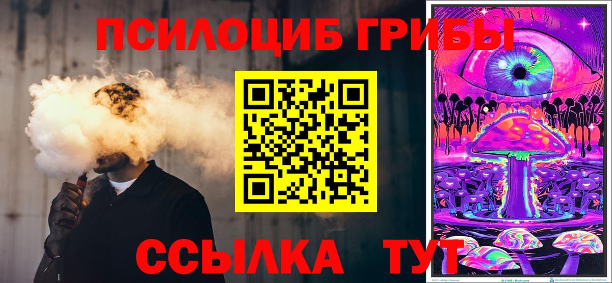 Псилоцибиновые грибы мицелий Димитровград